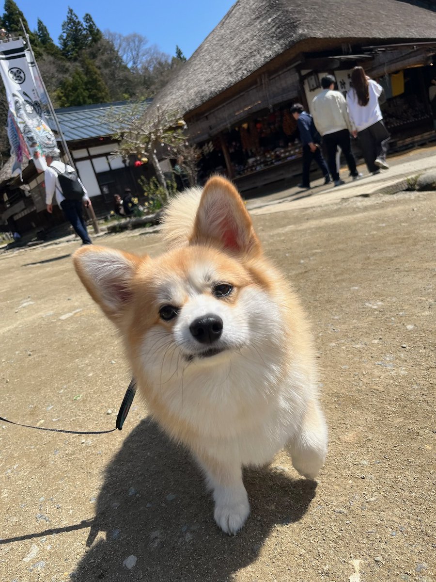 little_wooo_'s tweet photo. https://t.co/3q1nmHwT3f