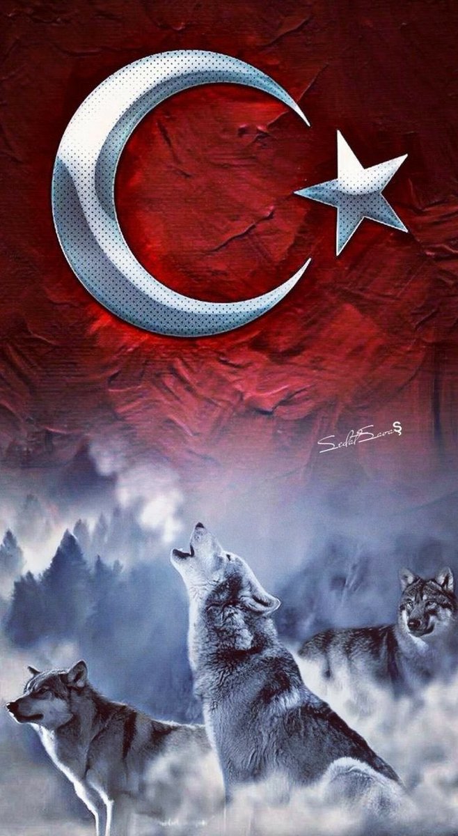 🏴‍☠️𝓐𝓽𝓮şş tweet media