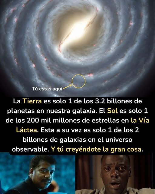 Joel Martinez tweet media