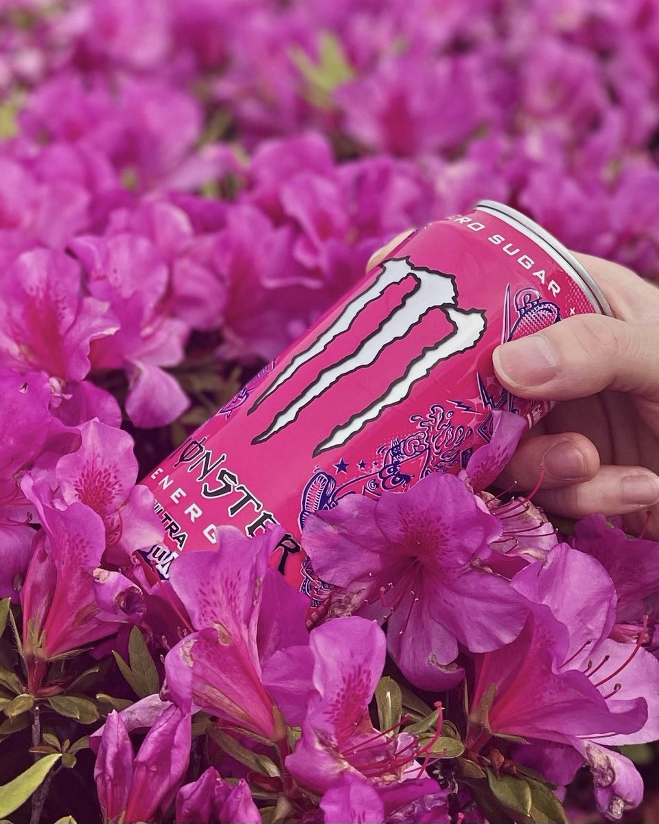 Rockstar_clct87's tweet photo. Monster energy ultra punk punch sales sample(Trial https://t.co/WDecTFyH9k