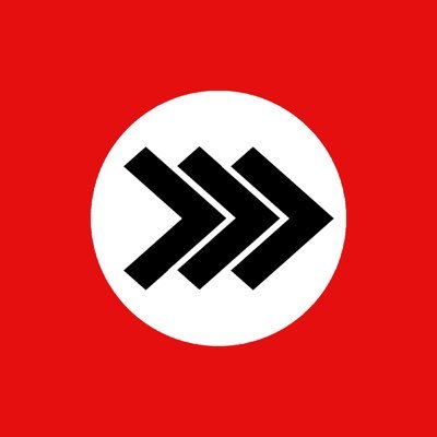 National Socialist American Workers Party (NC) tweet media