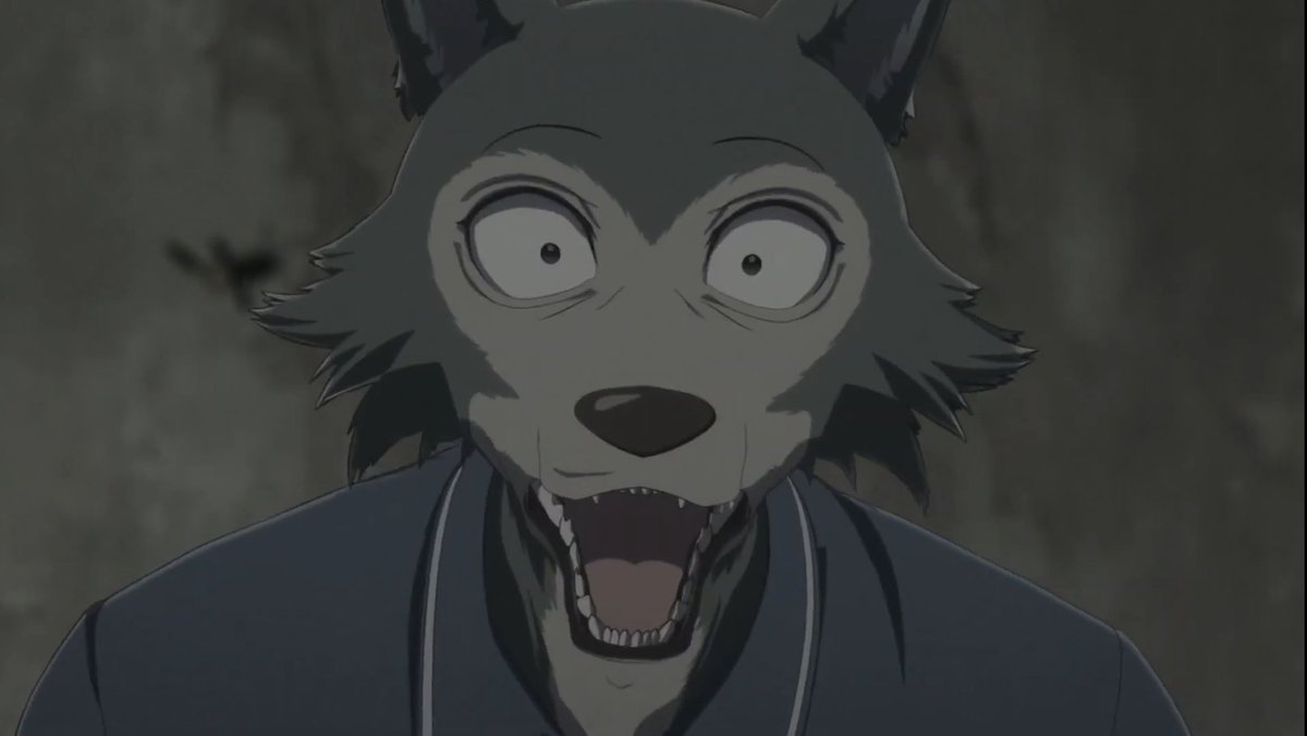 Christopher The Wolf tweet media