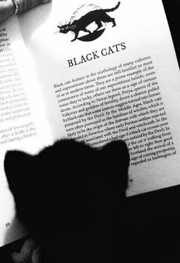 Black. tweet media