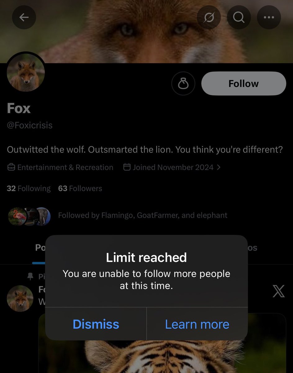 Wolf tweet media