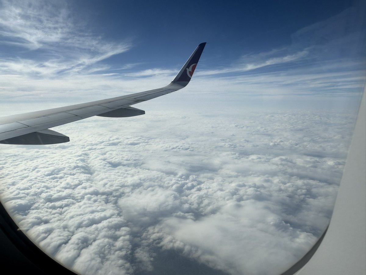 5233_nks's tweet photo. 年に一度の海外旅行
今回は初めての1人海外
数日前に飛行機取った弾丸旅行だったから観光全然できてないけど、カジノできっちり旅費回収したのでヨシ！ https://t.co/GEKoZLgmgJ