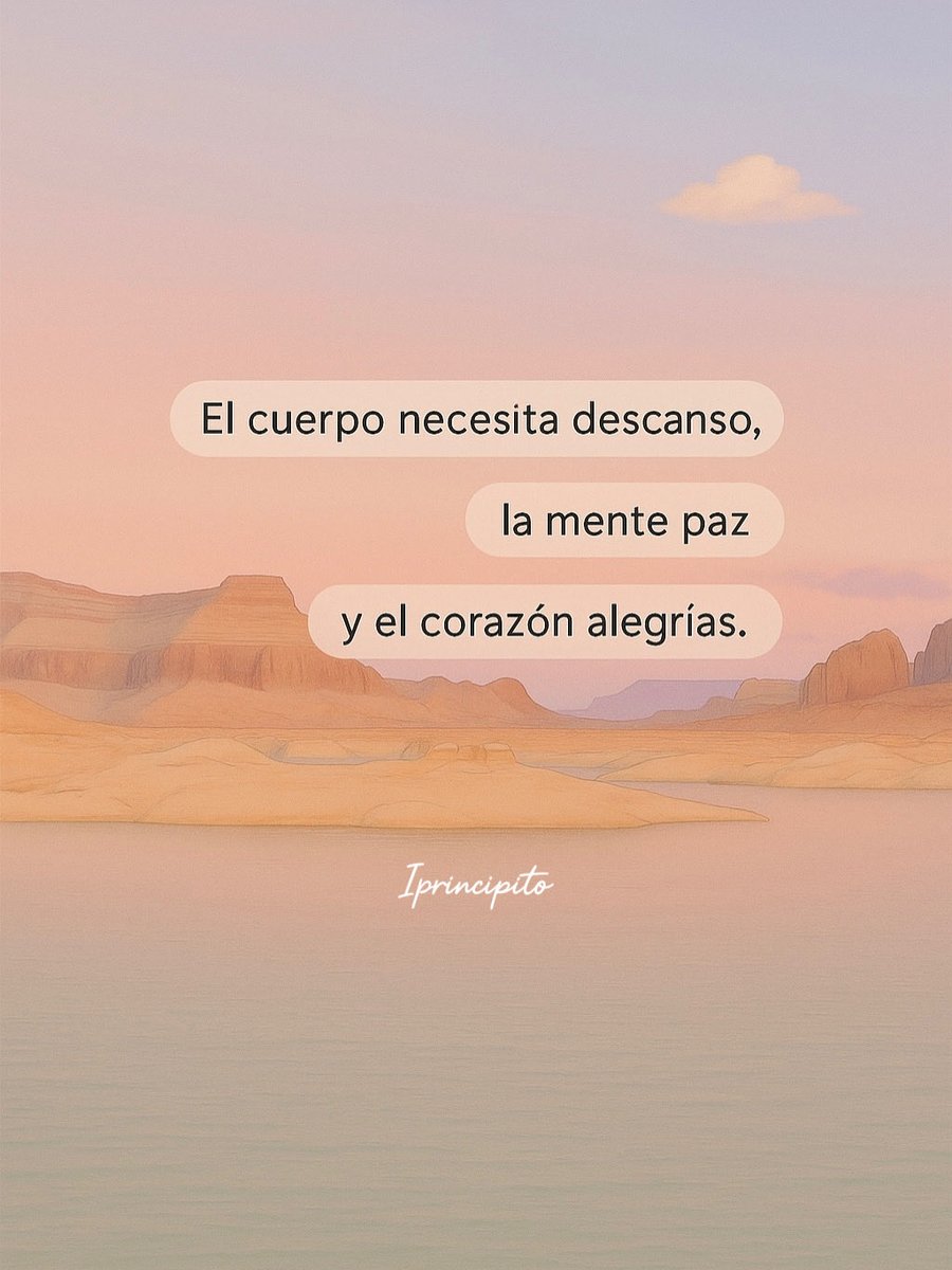 El Principito ✨ tweet media