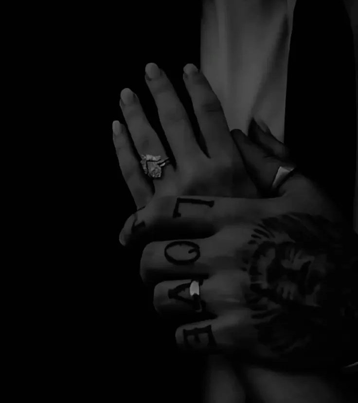 °•. ♔ 𝒱 𝖆𝖓 𝔊𝖆𝖗𝖑𝖑𝖊𝖜𝖆𝖗 ♔ .•° tweet media