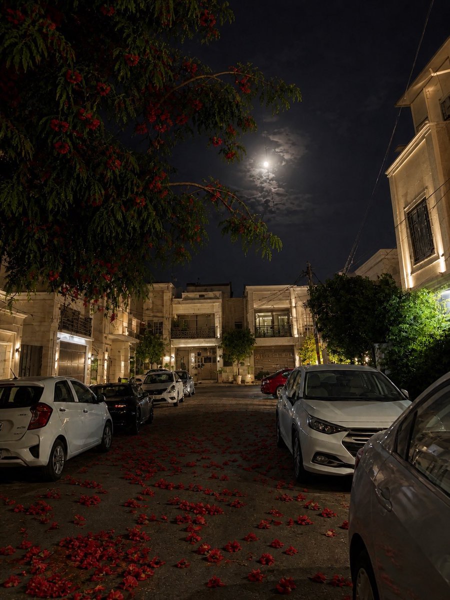 DeemaMiran's tweet photo. Tonight’s moon is worth admiring
#Baghdad
#Moonlight https://t.co/oTGpWW82DY