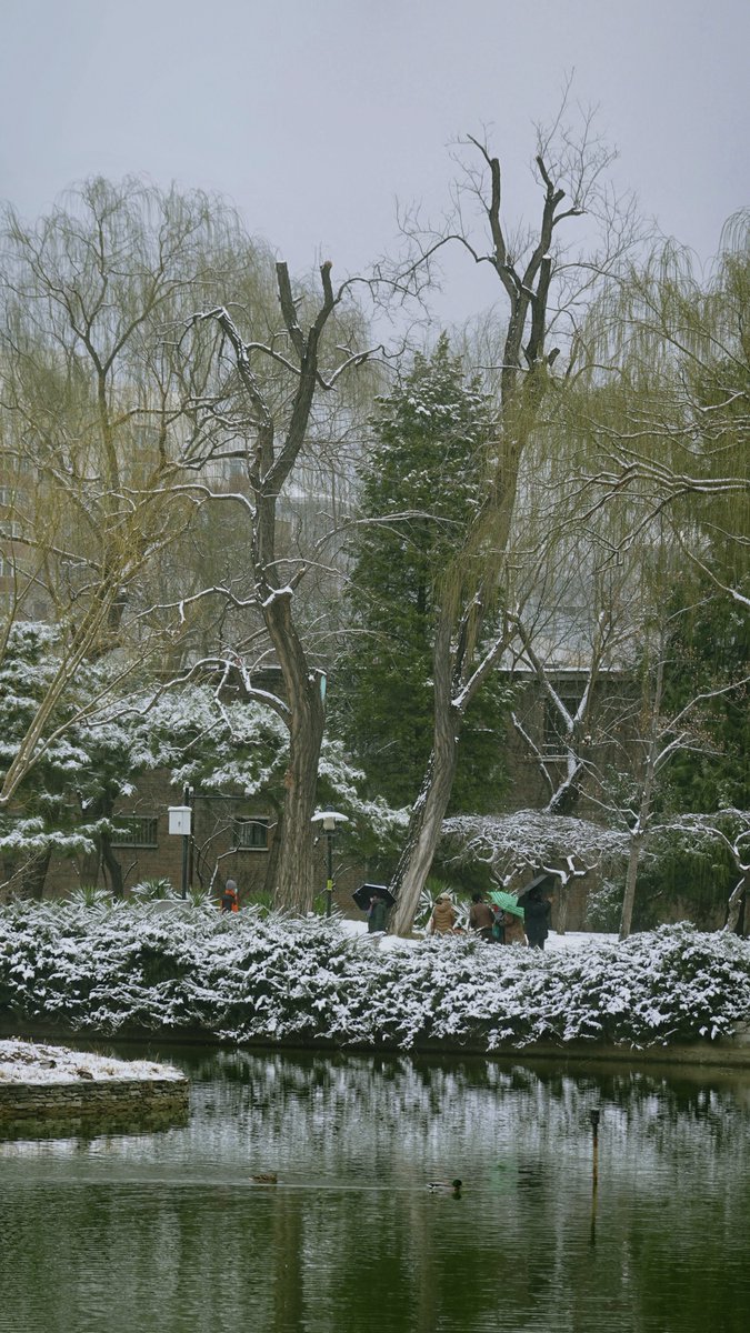 COSYCOSY258's tweet image. 關於人定湖（十）

About “Rending Lake” 10

#beijing #life #photography #travel #art