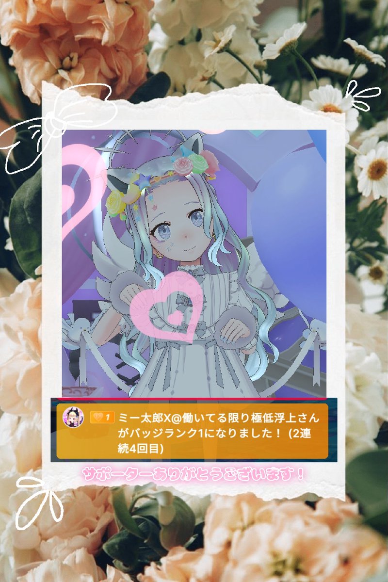 白黒ねこ tweet media