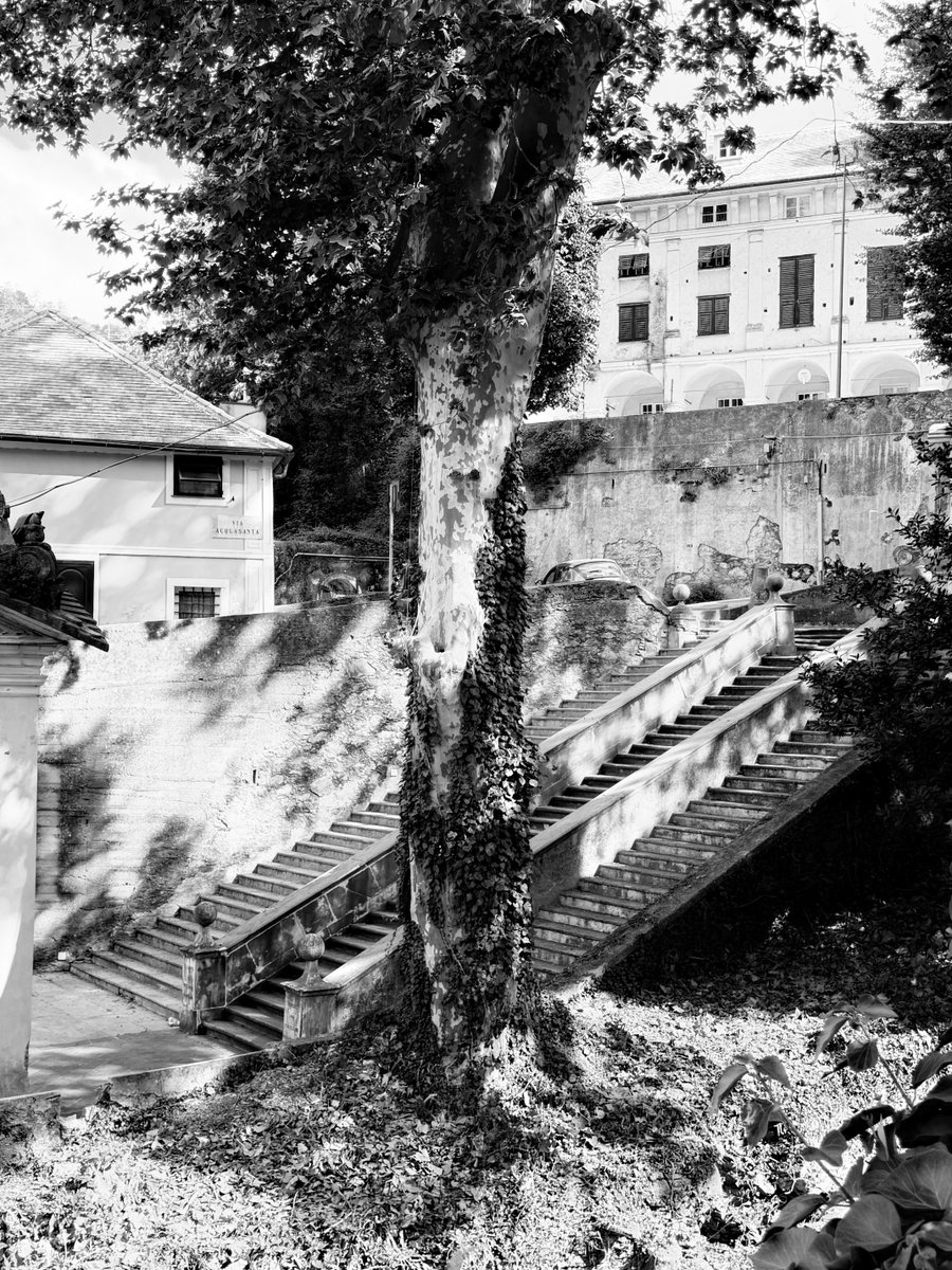Alonein43672278's tweet image. #photography #blackandwhite #mele #italy