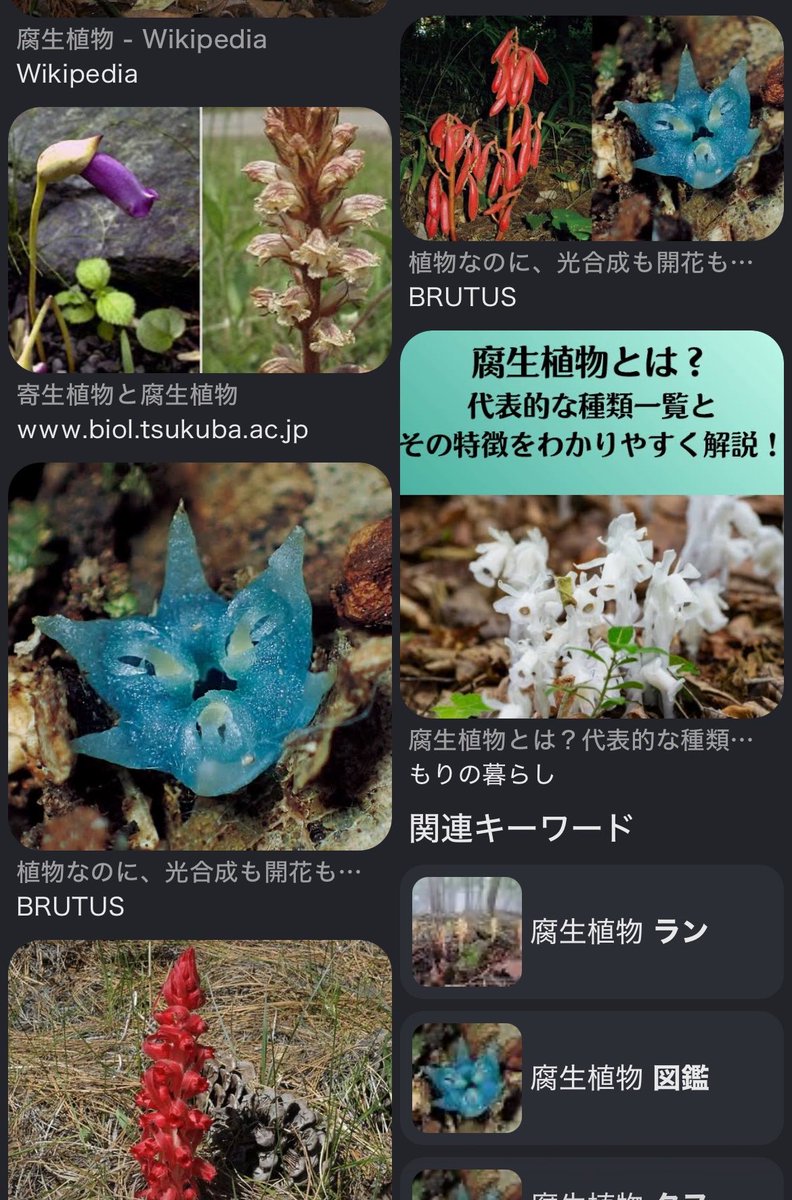 眠川 tweet media