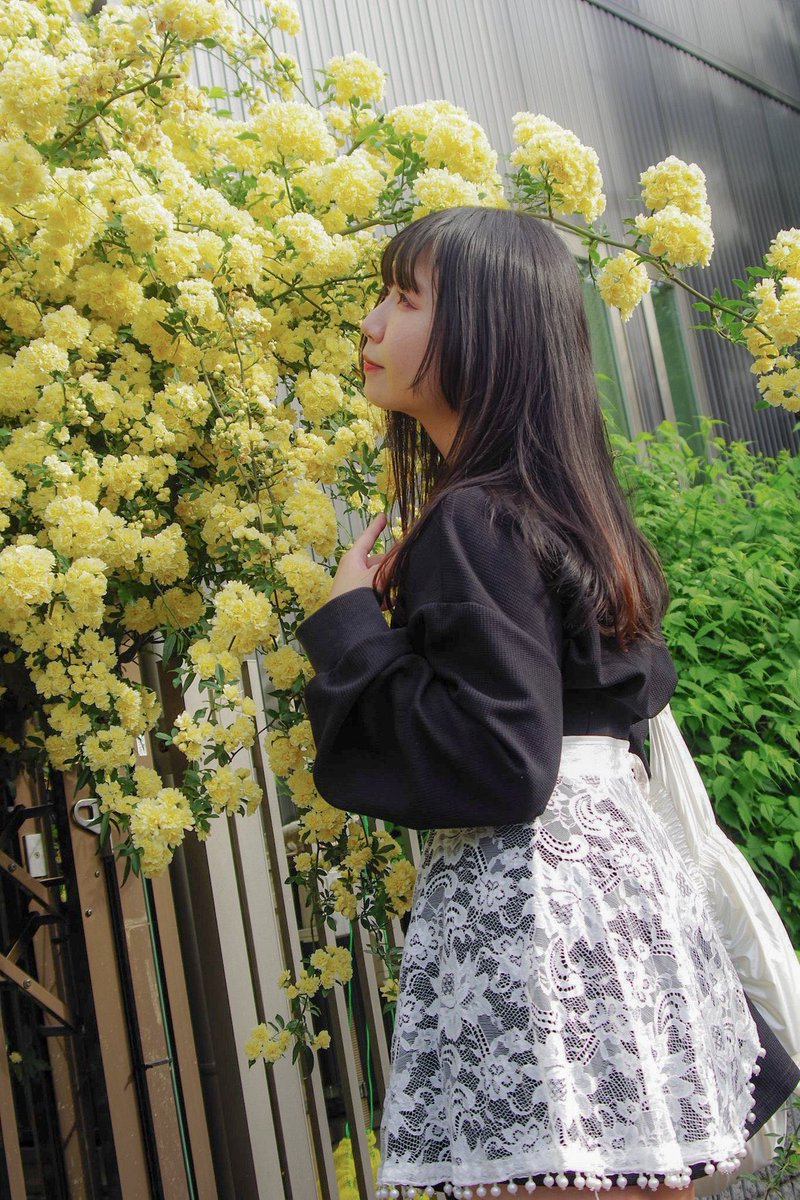ほぴちゃん tweet media