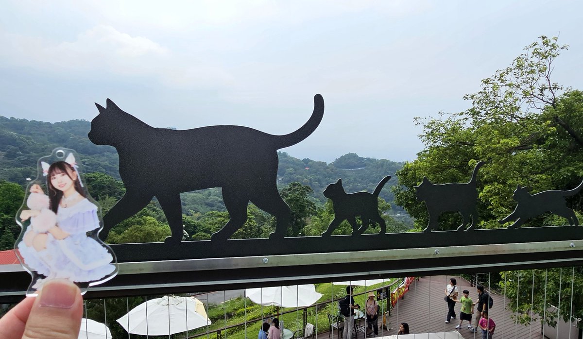 ootarecca's tweet photo. ちょっと猫空へ散歩しに行ってきます😚 https://t.co/K1DHEha4Ep