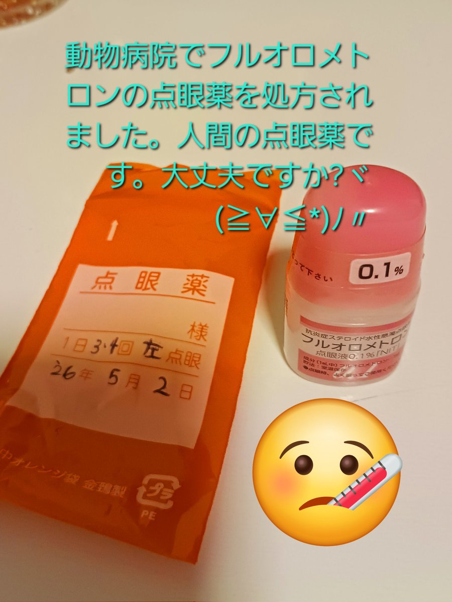 マロン🌰🐾クリ～ム🍨❄☃️🐾 tweet media