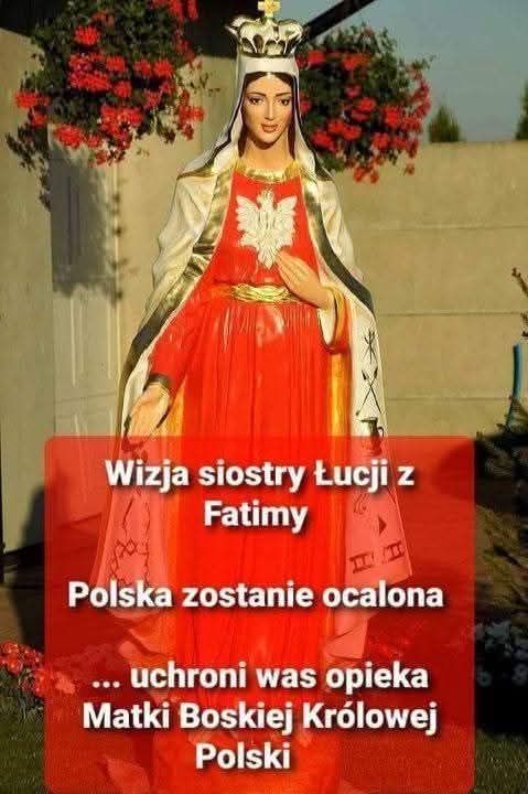 Tadeusz tweet media
