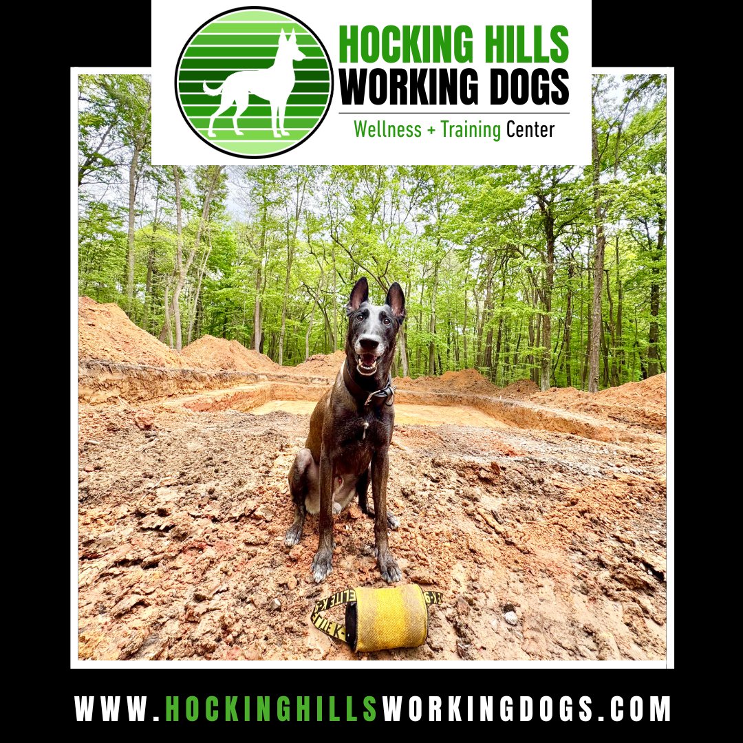 hhworkingdogs's tweet image. HHWD Hiking Club + Hiking Day Passes 
-------------------------------------------------------
🐕 Benefits of #Hiking with Your #Dog 🐕
1️⃣ Physical #Conditioning
2️⃣ #MentalHealth + #StressRelief
3️⃣ Reinforce Training + Deepen Your Bond
4️⃣ Community + Lifestyle Benefits