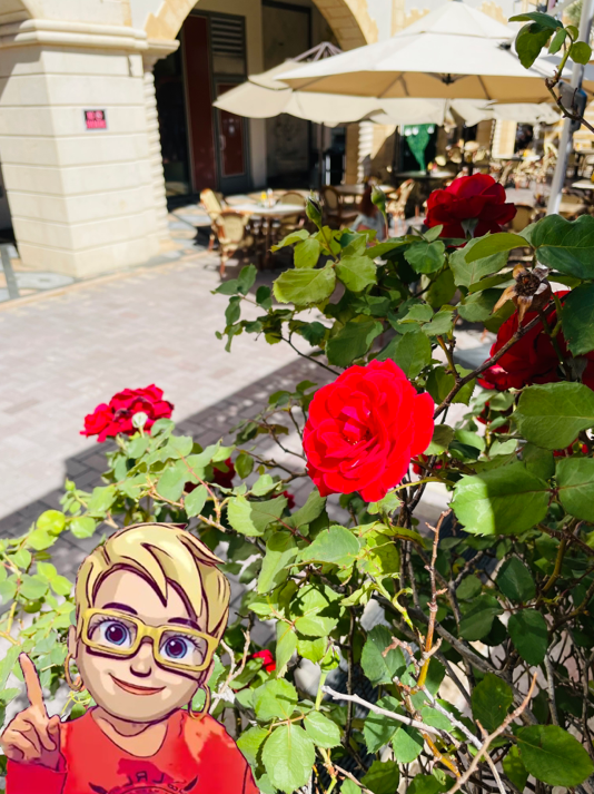 Jazmin_LasVegas's tweet image. 街中にバラが咲き乱れる今の季節が大好き❤️🌹安全第一で笑顔溢れる素敵なGWをお過ごしくださいね(ꕤᴖ◡ᴖ)✧⁠*⁠ Please have a wonderful weekend! #LasVegas