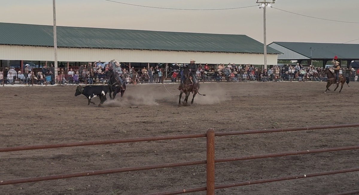 ArijahMakai26's tweet photo. I have some Bolivar, Missouri, beef days rodeo contest coming soon here to @X and maybe @instagram too. Stay tuned for that content and follow for more.🤠🙏💪🫶👍🐄🐂🏇🪢
@XCreators @MObeefdays #RodeoContent #Horseback #BeefDays #BolivarMissouri #BolivarMO #MO https://t.co/DllP2Up4Hj