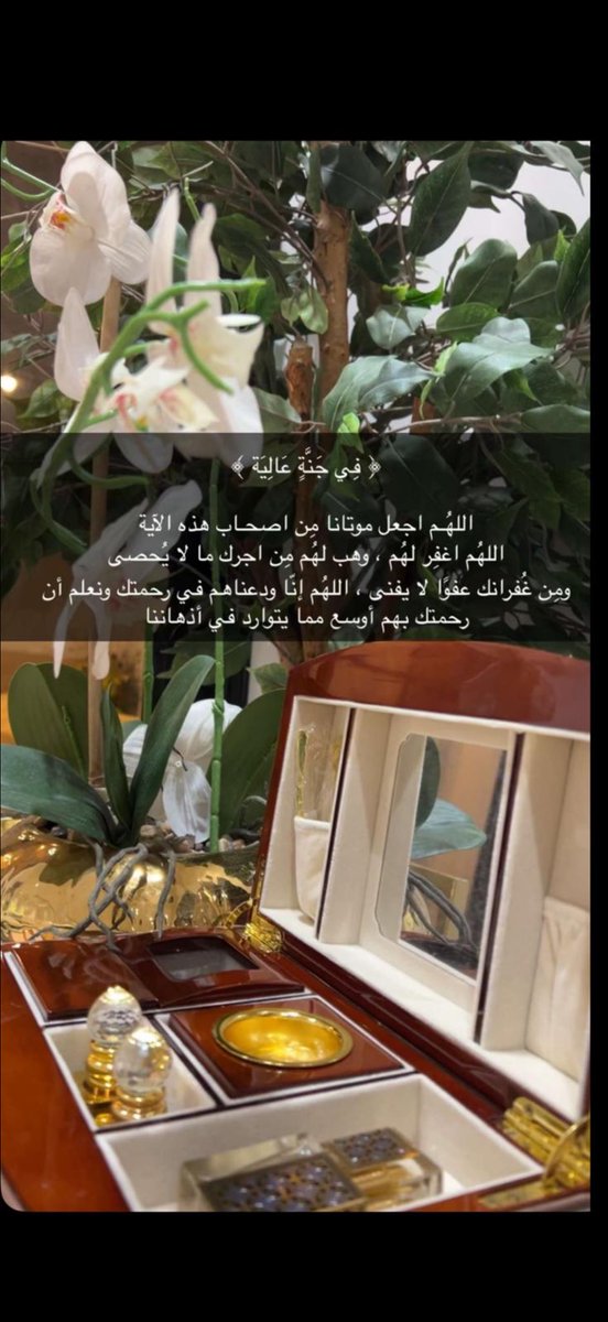 om hamad tweet media