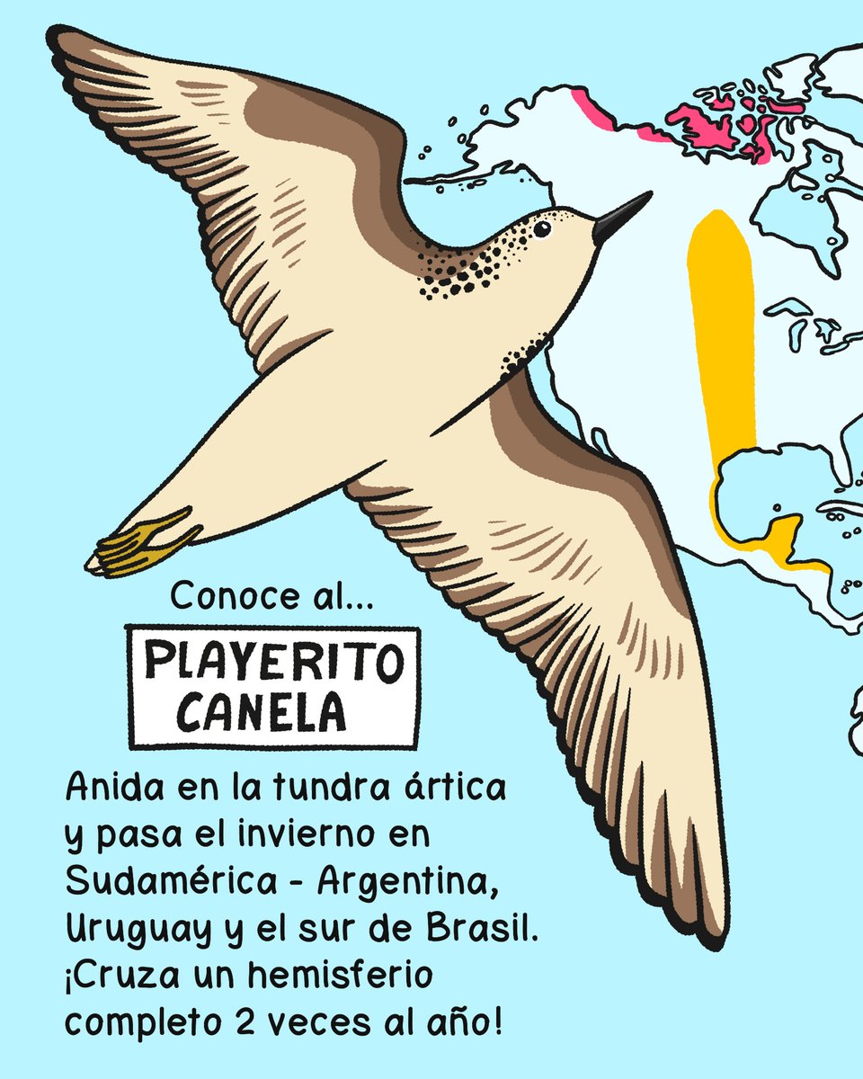 TNC Latinoamérica tweet media