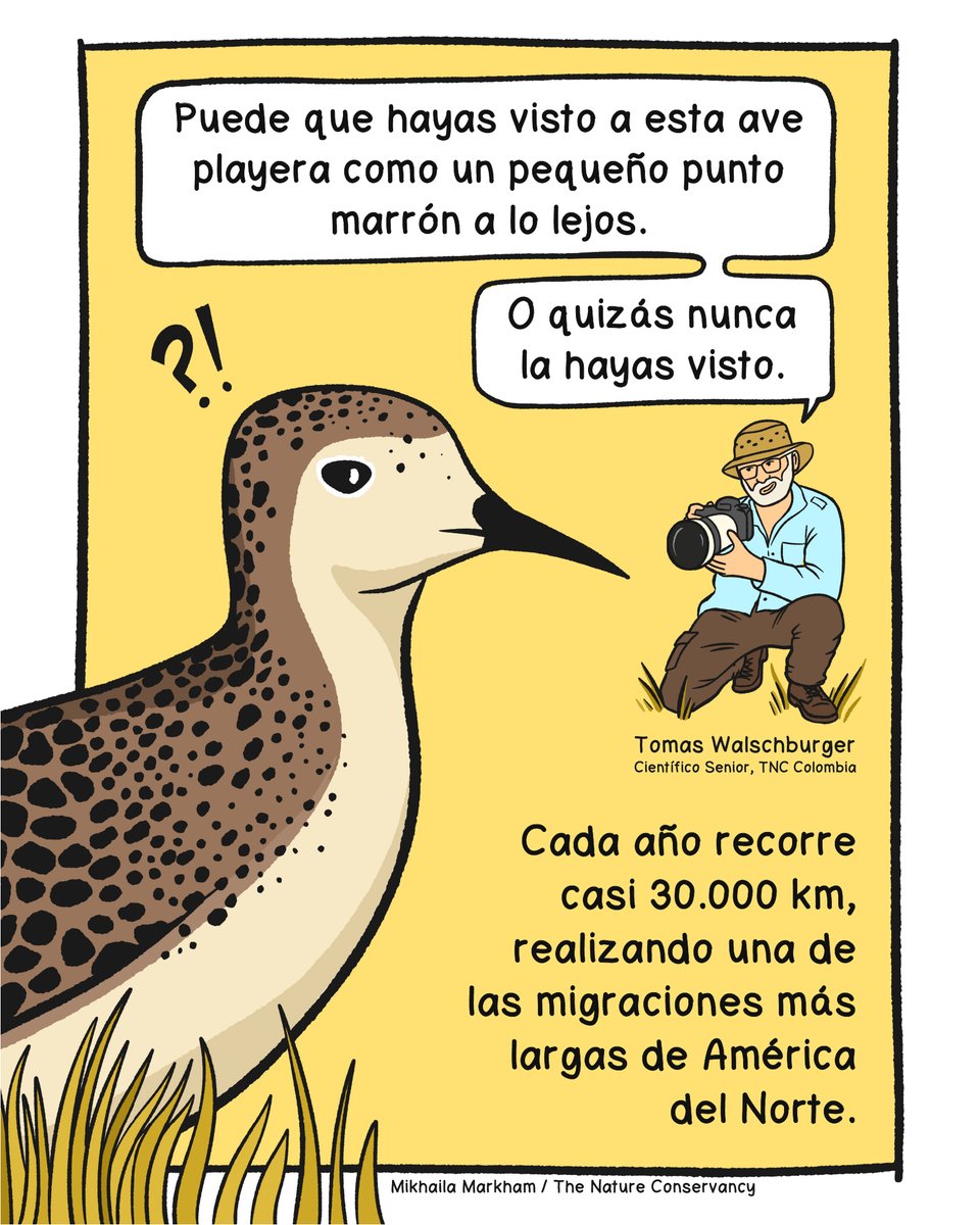 TNC Latinoamérica tweet media