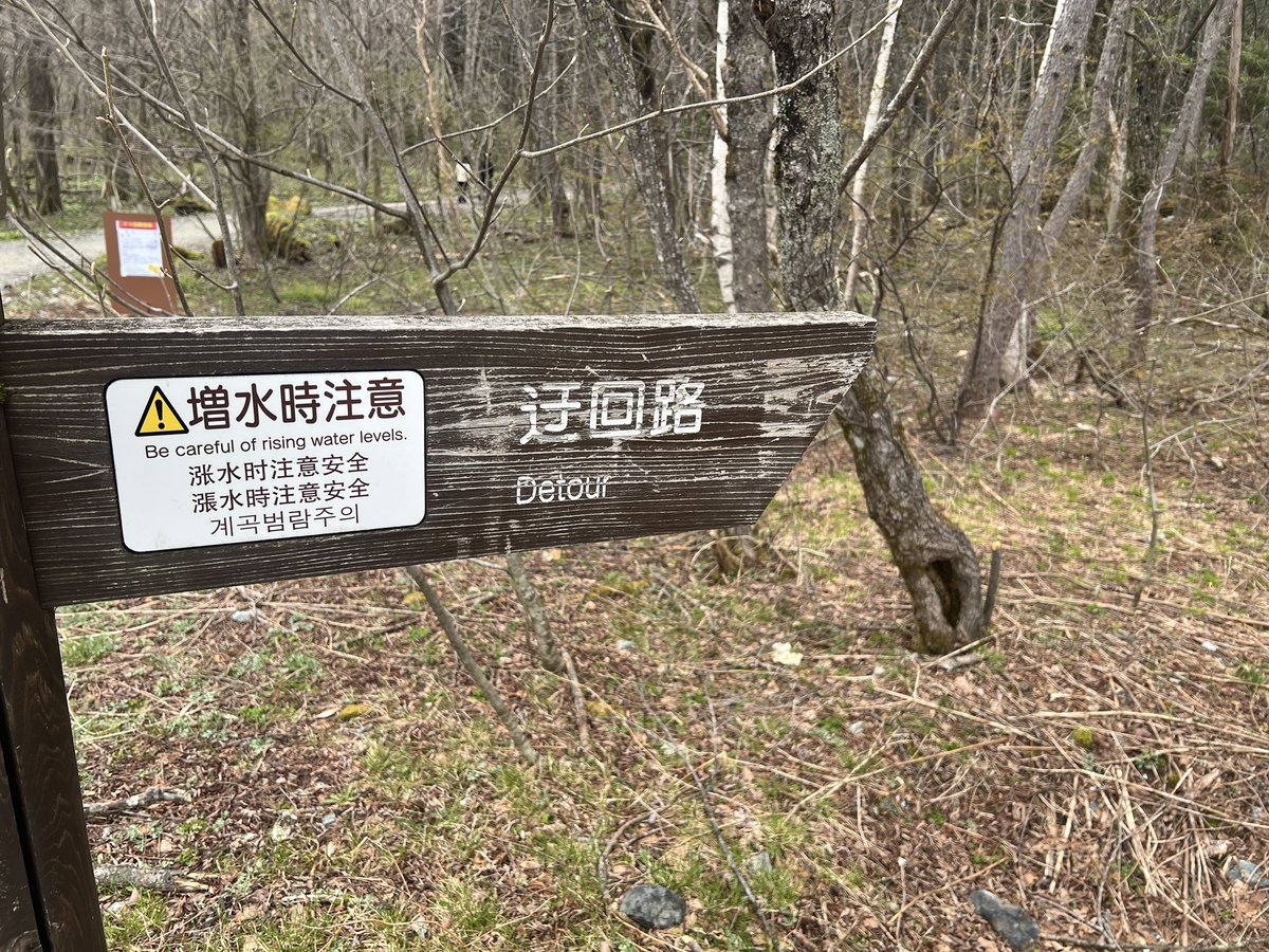 英語りす🐿️どんぐり英語🌰 tweet media