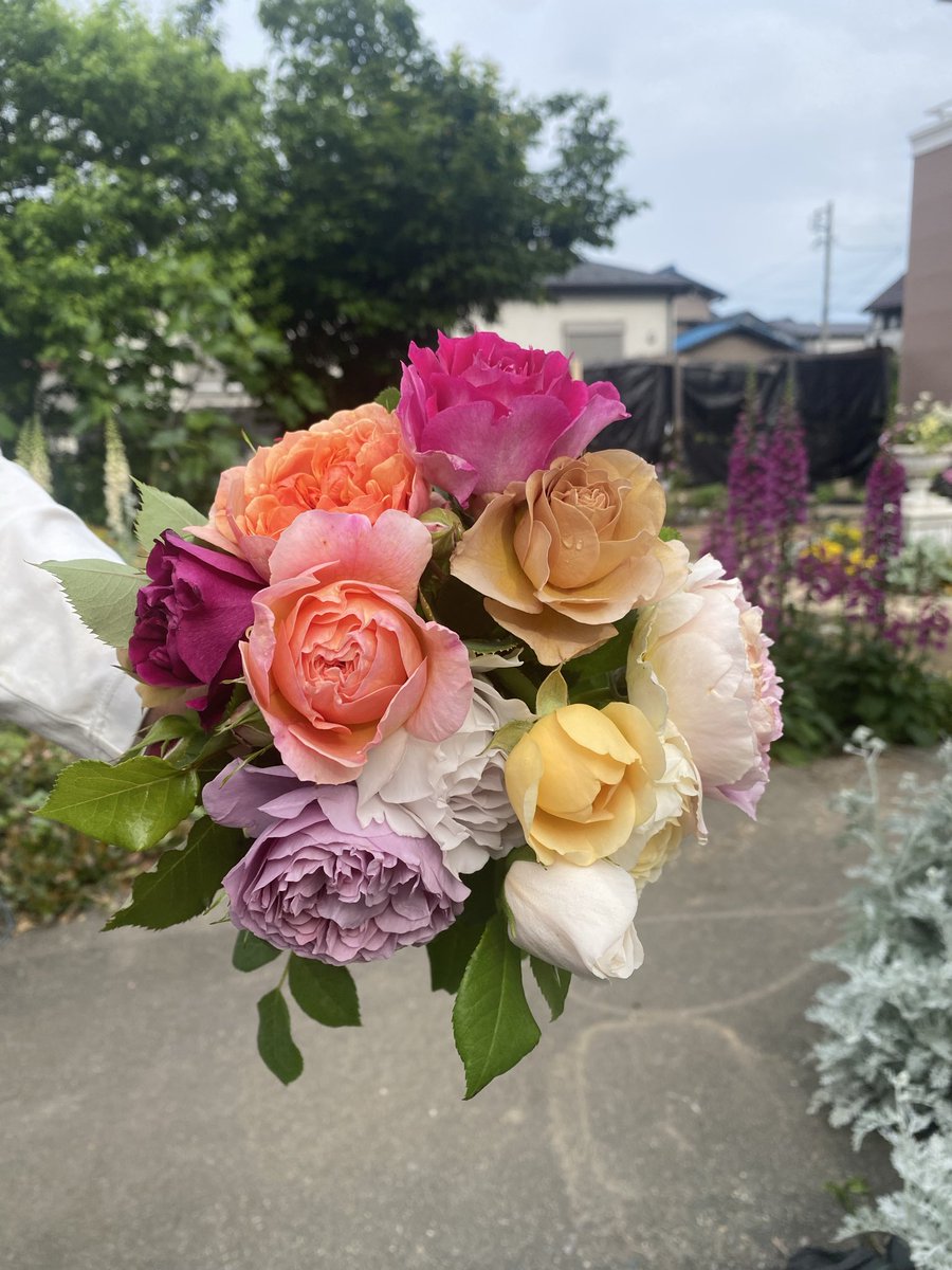 理事長 tweet media