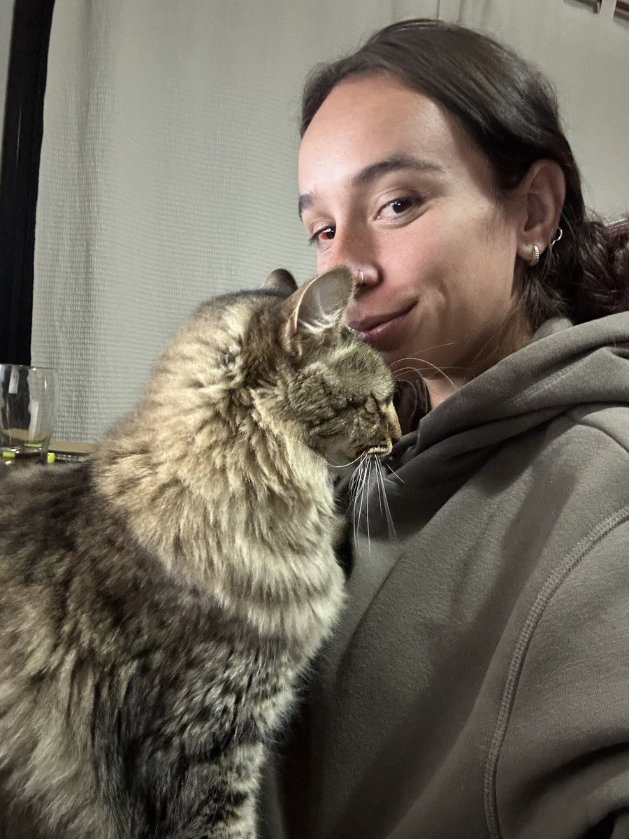 Crié un gato con apego emocional 😂💖