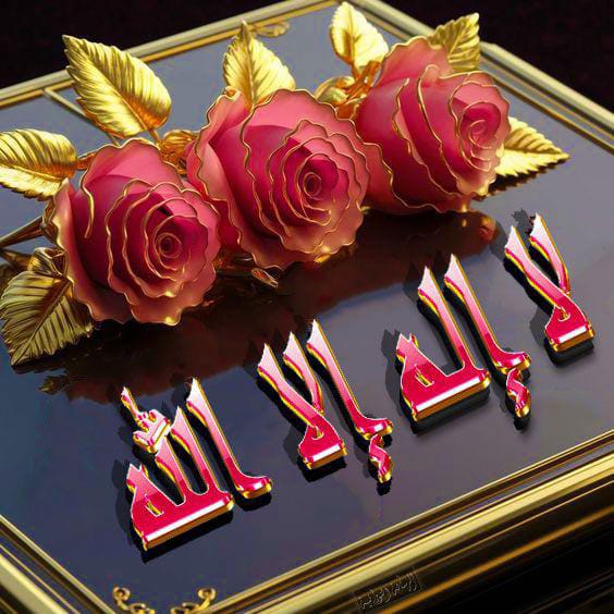 فوزى رماح tweet media
