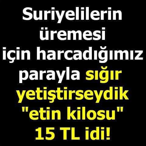 Ali Gülşen tweet media