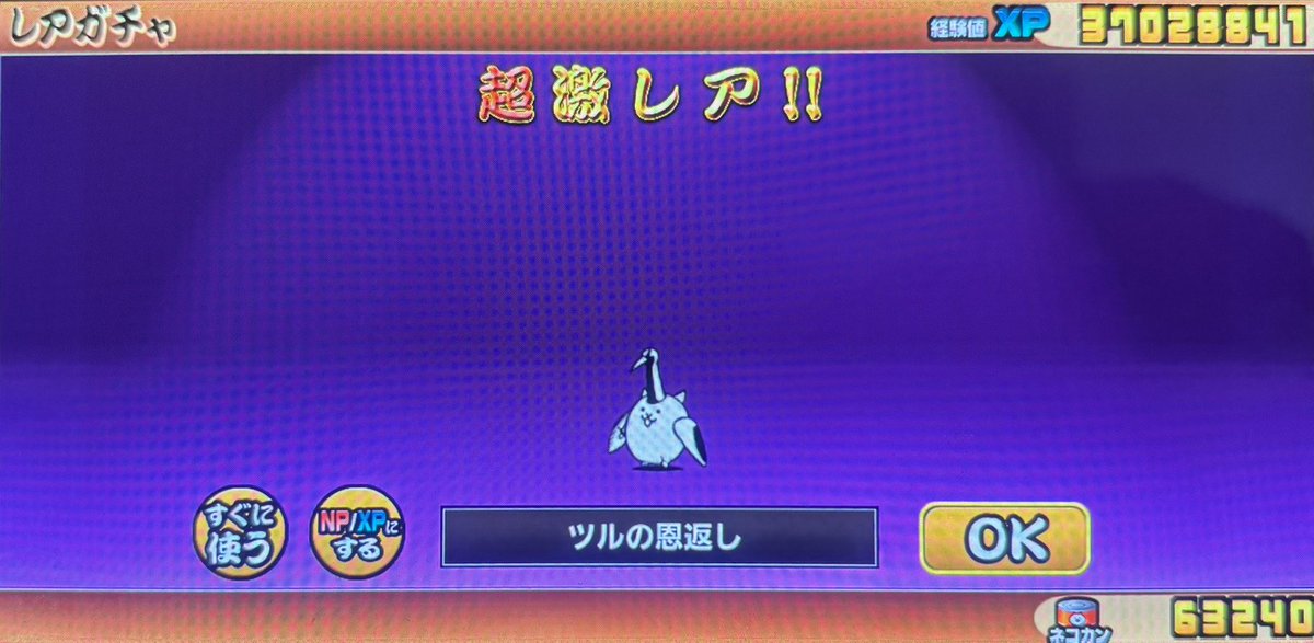 相棒三十郎・淘の賢者ダーヴィン時代 tweet media