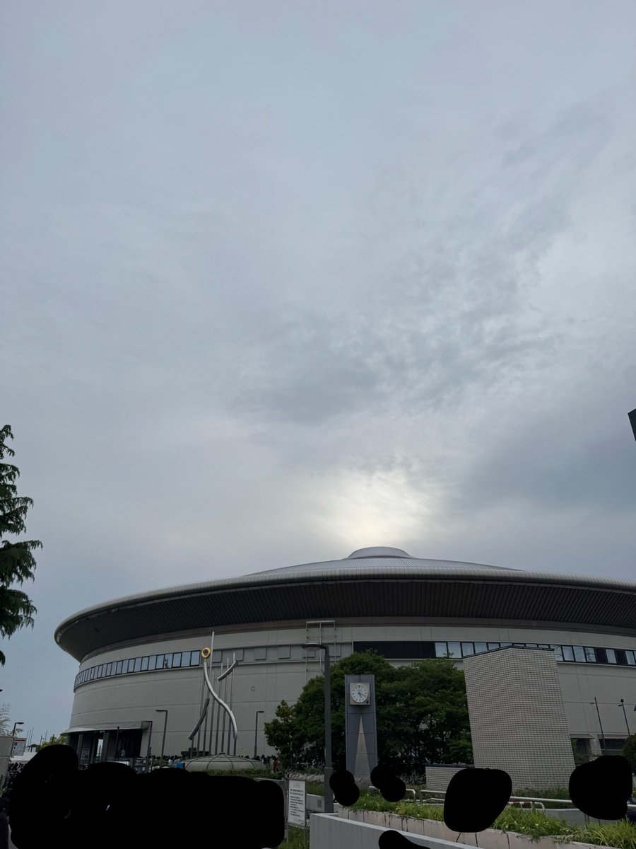 もこ tweet media