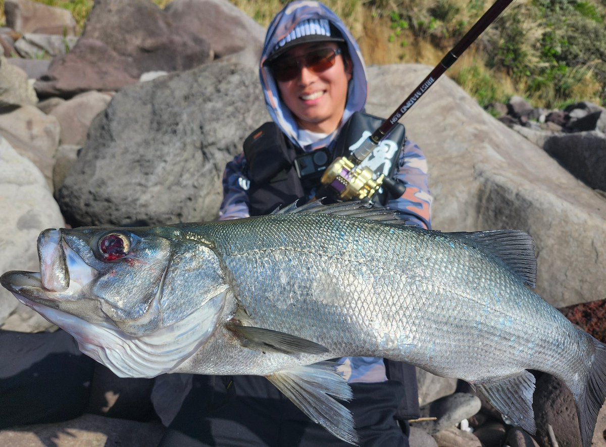 Morizoufishing's tweet photo. 先輩方と久々の磯ヒラ釣行！その日のパターンを見つけるのがあまりに早く感服しながらも徐々にサイズアップ！楽しく感謝でいっぱいの釣行でした！
GUIDUSは、ハリがあり若干硬めの印象だが、ピン撃ちが決まりやすくそのハリのおかげでバックラが激減する！お気に入りです！
#GOSEN 
#PR
#GUIDUS https://t.co/BSv6GsCehH