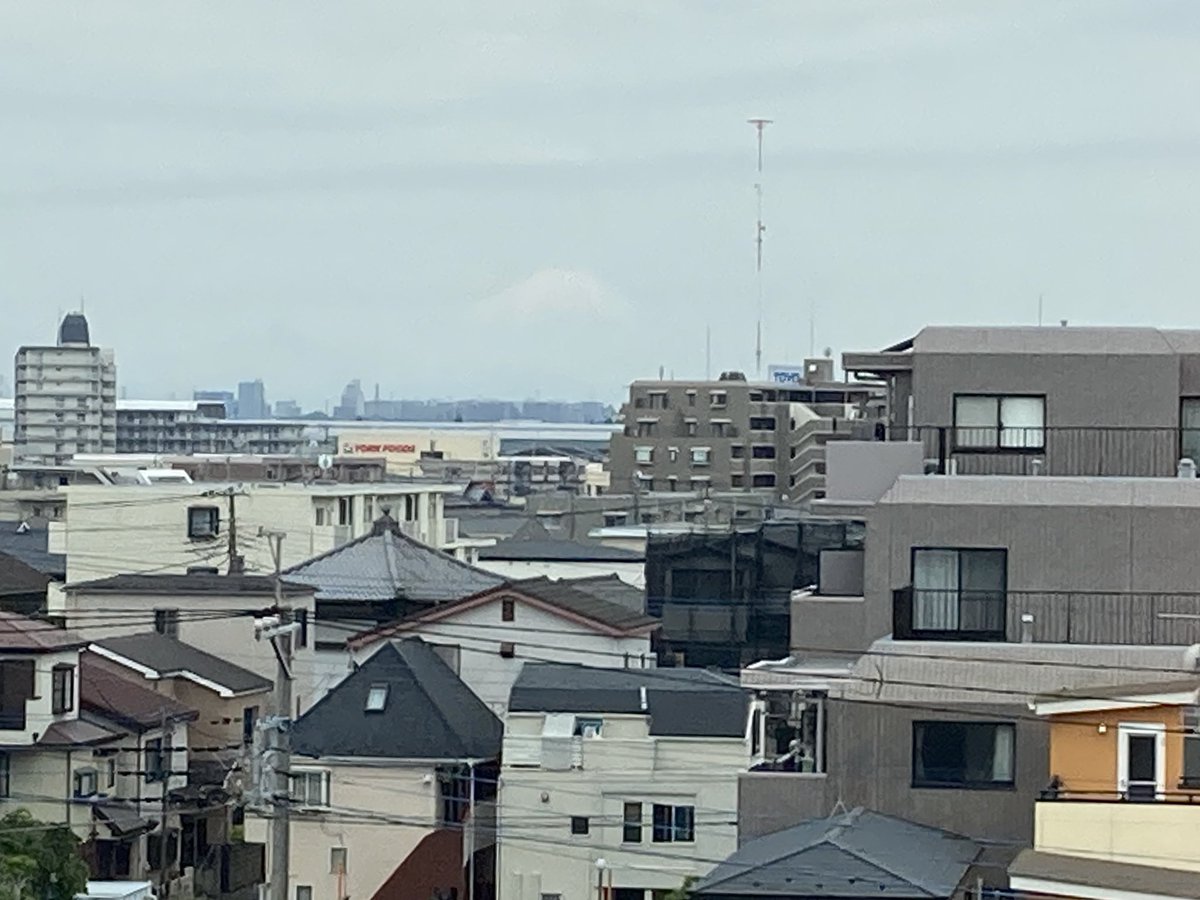 すがっち tweet media