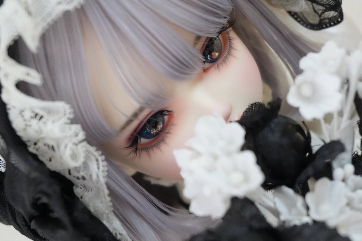 翠 🐈sui🐈‍⬛ tweet media