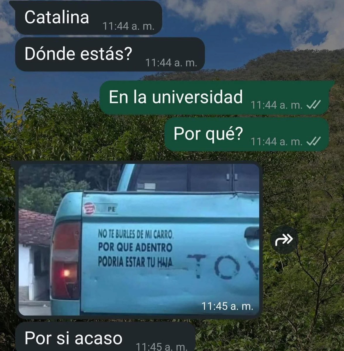 Alejo tweet media