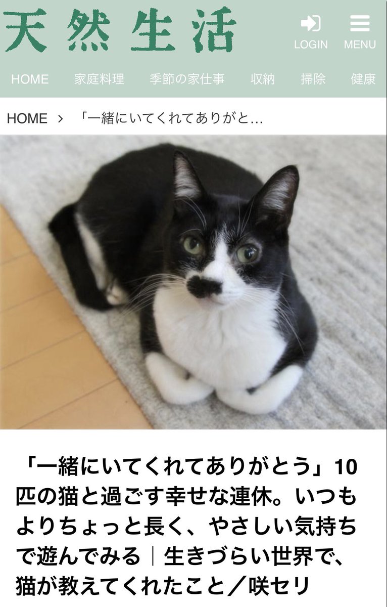 咲 セリ tweet media