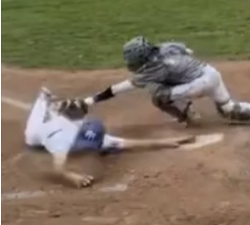 PearlRiverBase's tweet photo. Pearl River 4
Hen Hud 3

At Pearl River, Drew Wooster got the win in relief, pitching a scoreless 7th, then scored the winning run in the bottom half on a Connor Buckley ground ball (2 RBI).  Ryan Downes pitched 6 innings giving up 3 runs on 3 hits. https://t.co/yybKlmmfiG