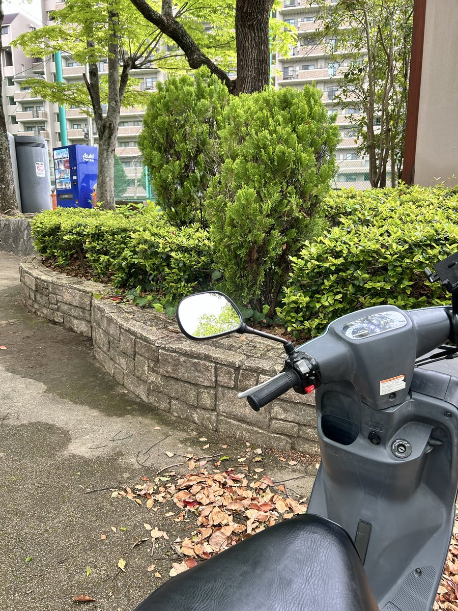 ナベちゃん(スノー&グリーンシーズン) tweet media