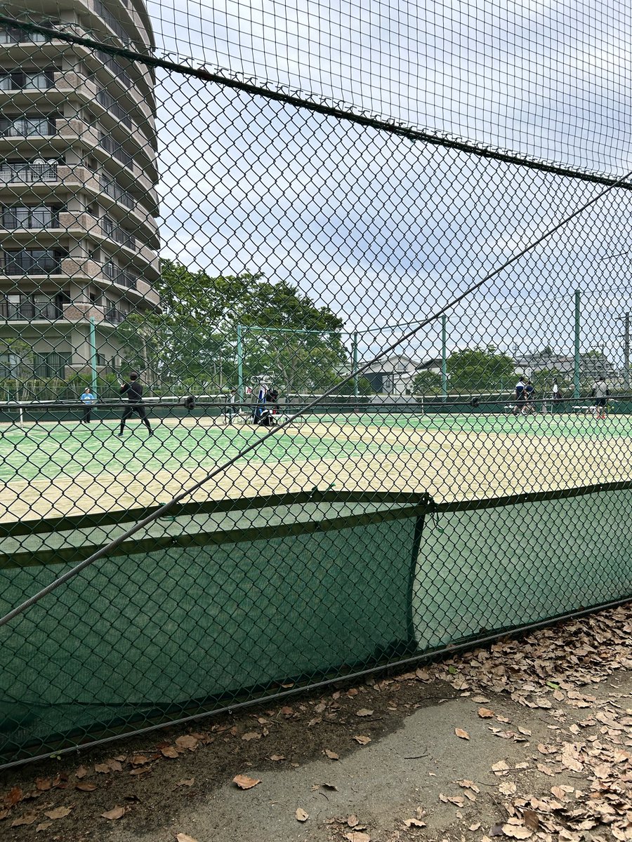 ナベちゃん(スノー&グリーンシーズン) tweet media