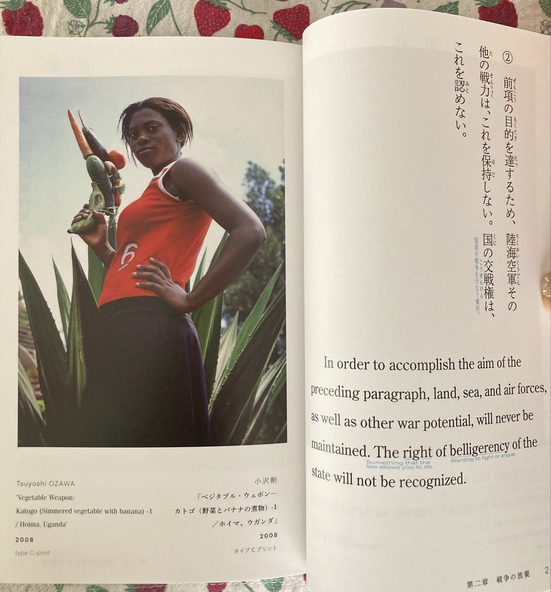日本国憲法とアートを合わせた美しい本です✨