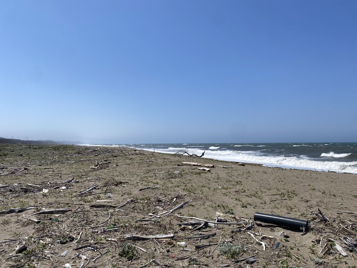 日本海
津波被害を受けたデカ堤防＋松林セットの太平洋側の海岸ばかり見ていたのでとても新鮮