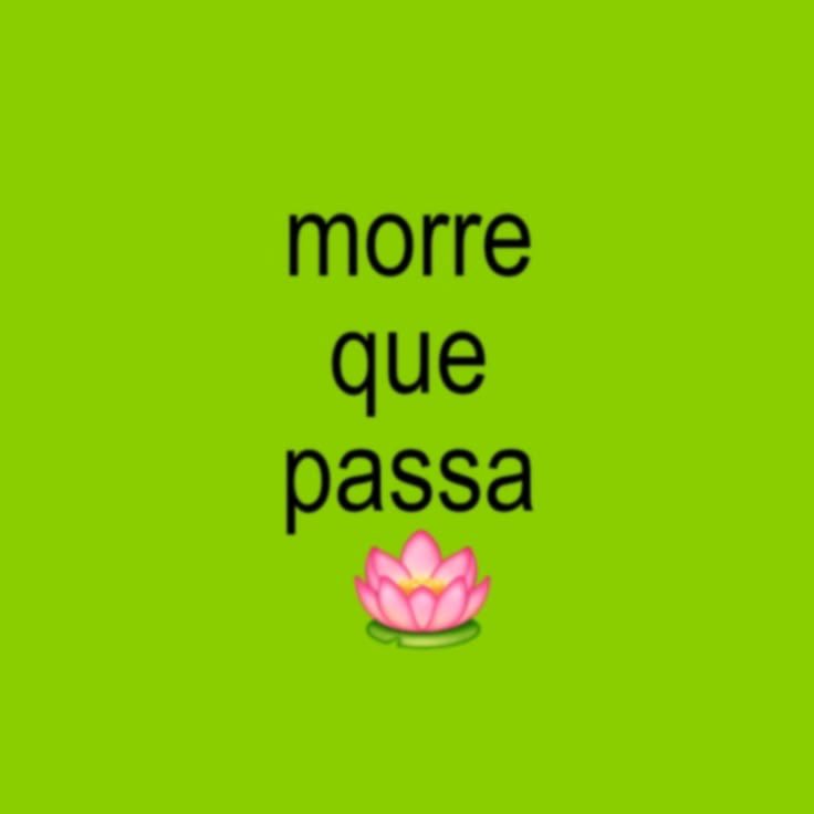 paulinha tweet media