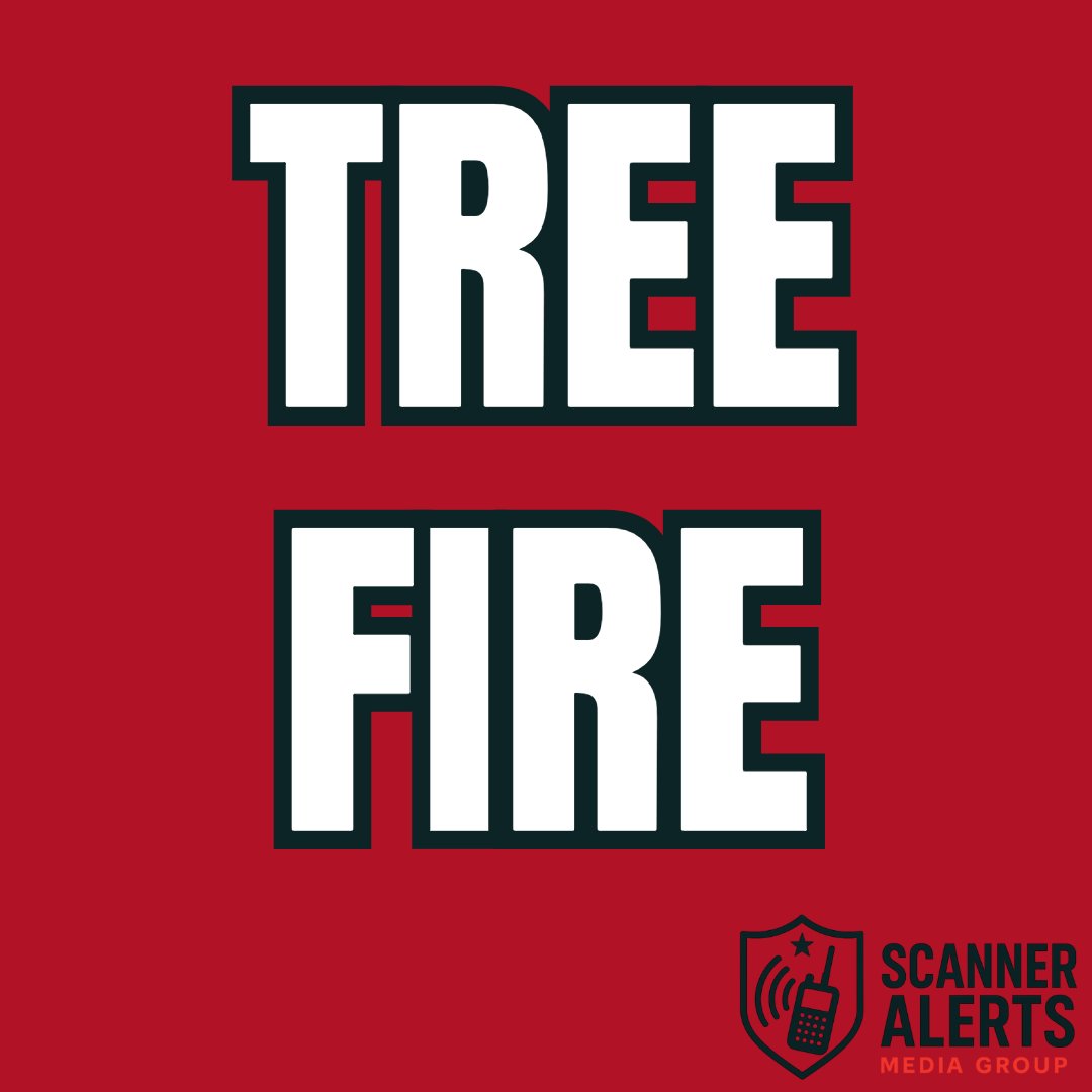 Rochnhscanner's tweet photo. Deering, NH *TREE FIRE* Deering Center Rd, Deering, NH, USA - Tree on wires - 5/2/2026 19:28:25
26-17104-FD
#NH #DeeringNH #TreeFire #HillsboroughCounty #DeeringCenterRoad
Get our App on Google Play and Apple App Store https://t.co/EajsxI6XjW