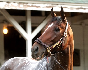 CAT1PRO's tweet image. @rkmeeks72 
 What a #KentuckyDerby #WOW. 
#GoldenTempo was in the rear of all of the horses and came to the front like a #Rocketship. #Absolutely #Amazing.