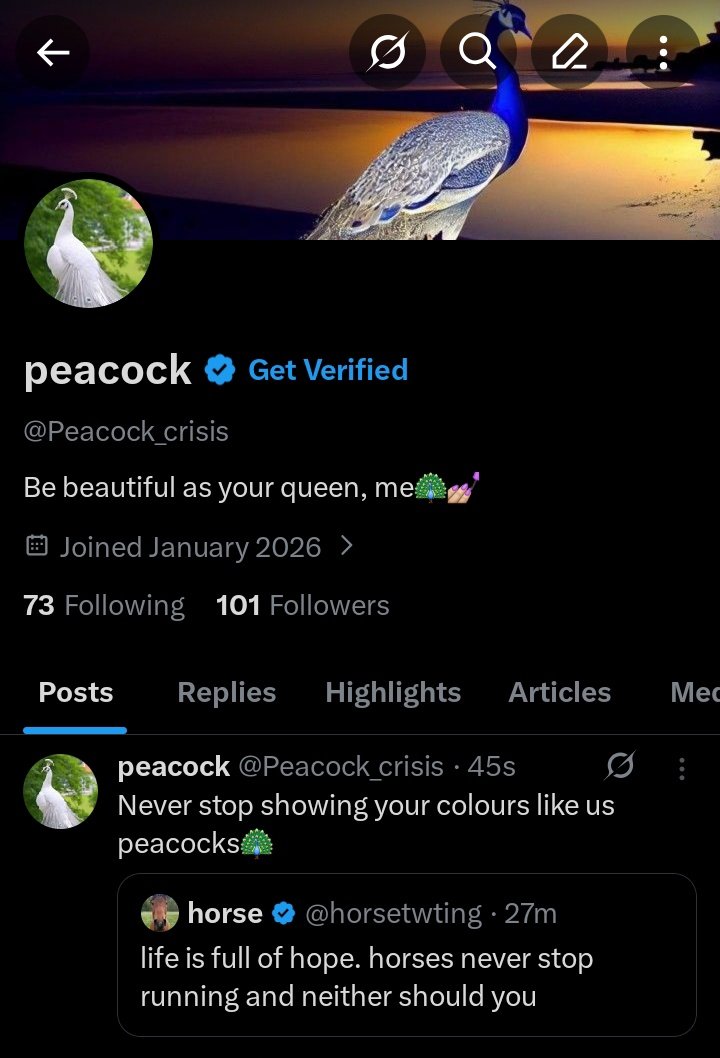 peacock tweet media