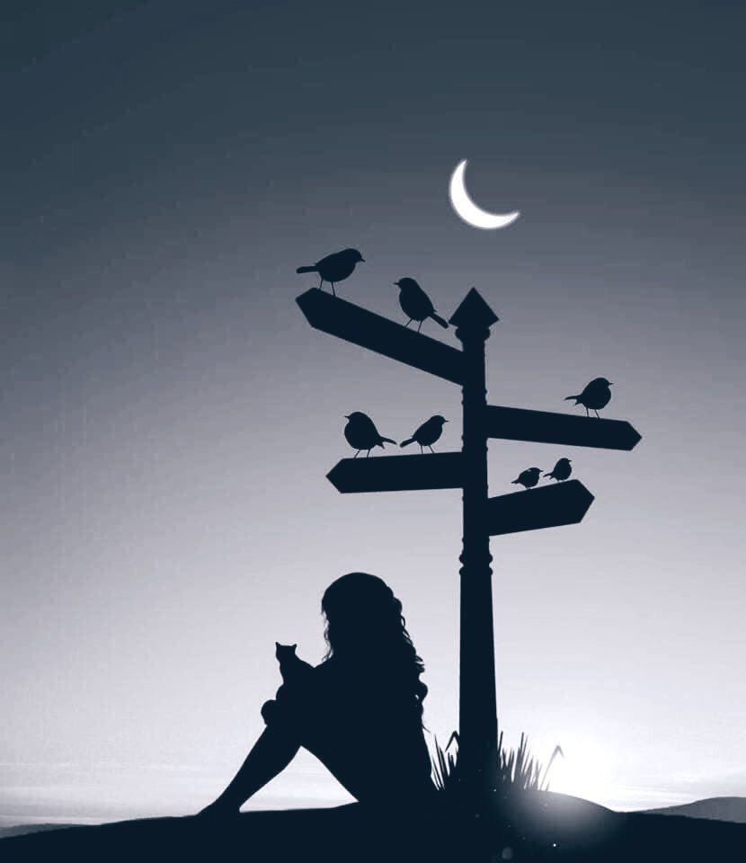 ✍🏻ذاكِرَة الوَرَق Inspiration tweet media