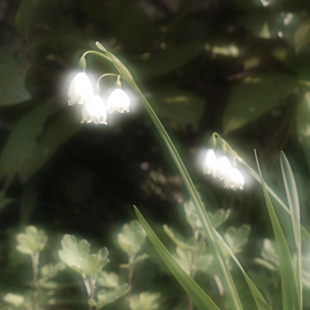 peaceflowly's tweet image. 🌿🤍🙂🤍🌿

#flowers #green