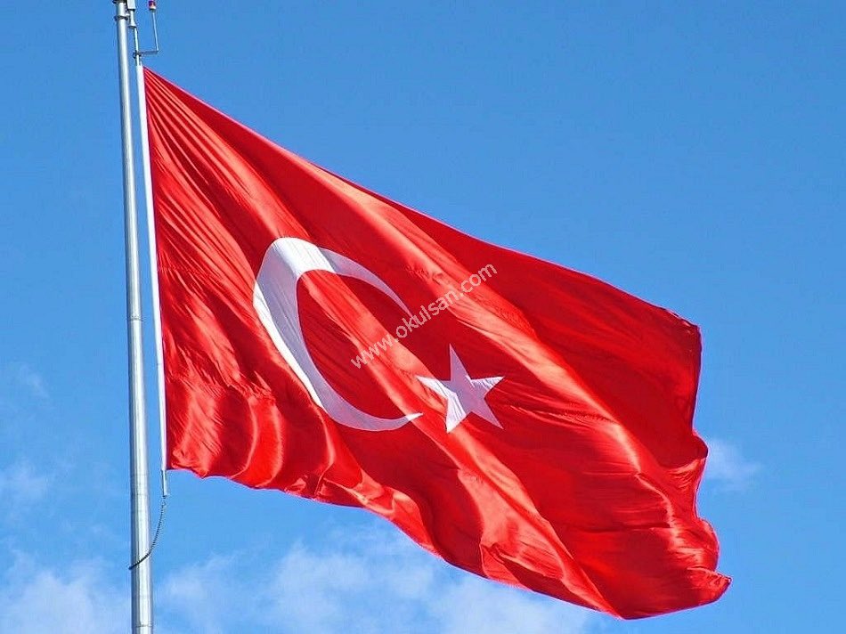 Barabelli 🇹🇷 tweet media